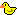 :quack: