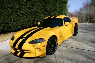 viper 001.jpg