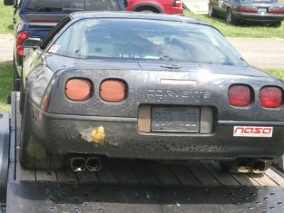 Vette burnout.JPG