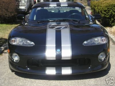 Shelby Viper Front.jpg