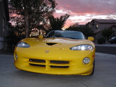 viper resized.jpg