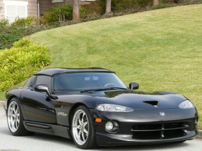 viper picture 3.jpg