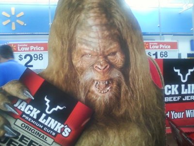 i_found_bigfoot_at_walmart_by_panther_moon-d4bw7bz.jpg