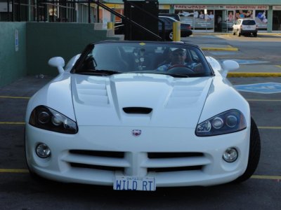 viper pics 031.jpg