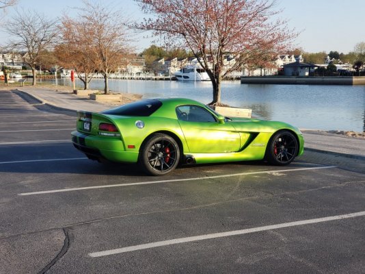 New Buffalo New wheels.jpg