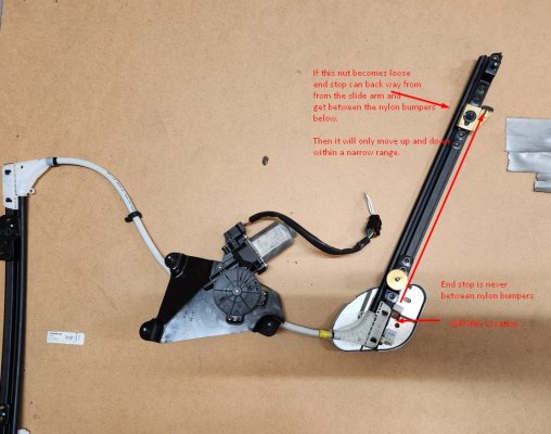annotated picture.jpg