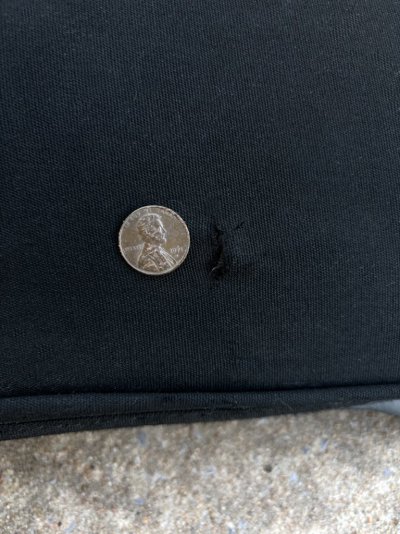 SoftTop_w_Penny_.jpg