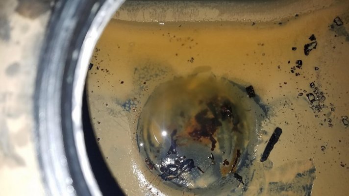 Tank wet crud 2.jpg