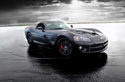 DSC_3018Viper.jpg