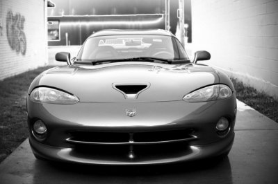 Viper front on black white - robin cooper.jpg