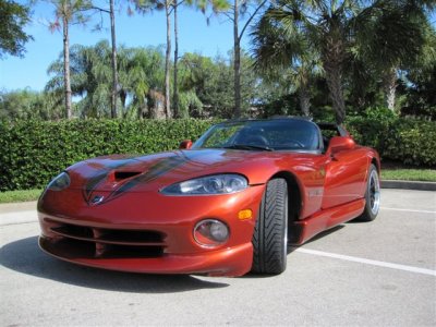 Viper 002.jpg