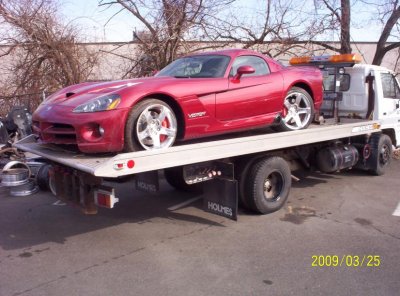 2008 Viper 13444612.jpg