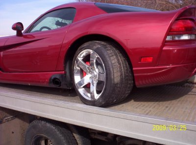 2008 Viper 13444613.jpg