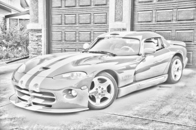 Viper-sm.jpg