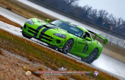 TWS Jan 2011 Green Viper.jpg