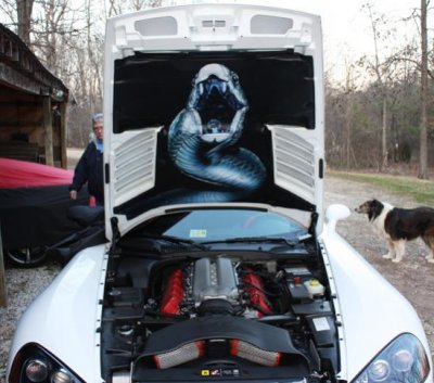 Viper HL Open Hood.jpg