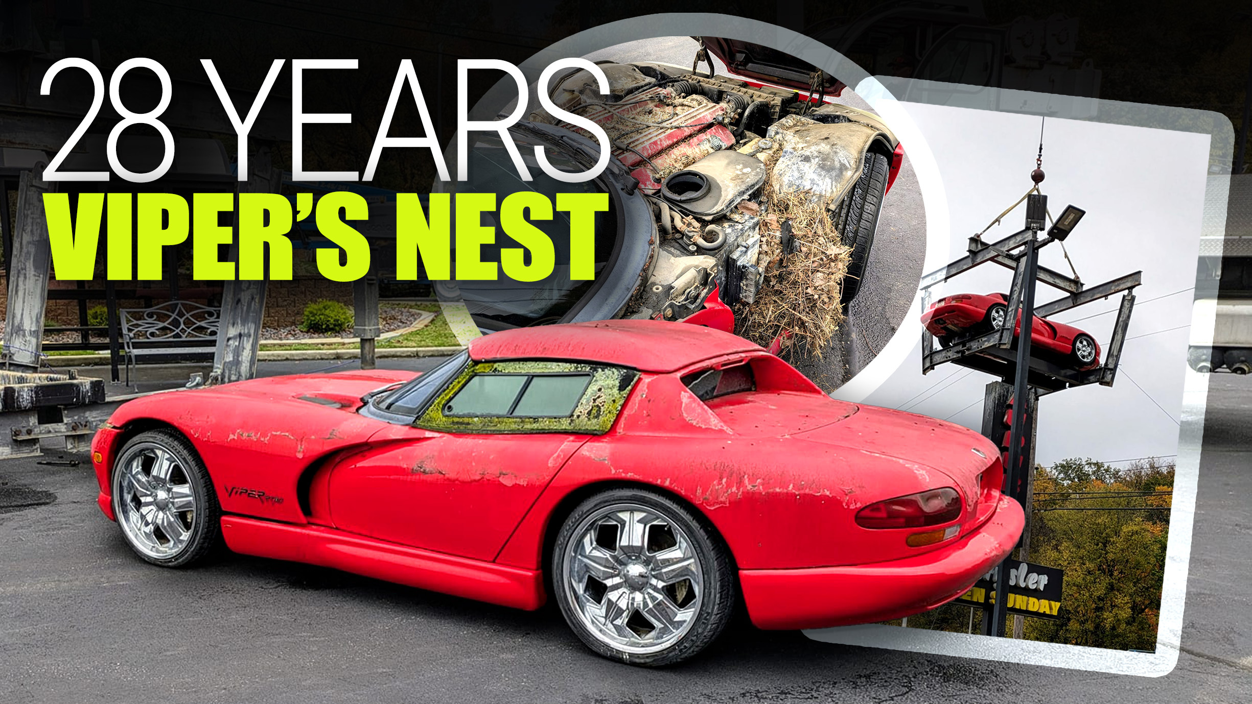www.carscoops.com